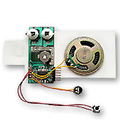 Музыкальные MP3 модули и модули с микрофоном :: ПОПУЛЯРНЫЕ :: голосовые модули и звуковые открытки Музыкальные MP3 модули и модули с микрофоном :: ПОПУЛЯРНЫЕ :: звуковые модули и голосовые открытки